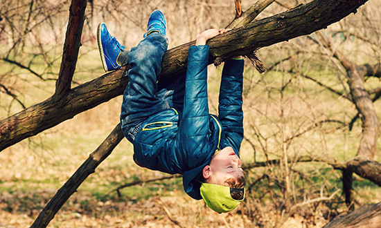 boy hanging upside down from a tree limb