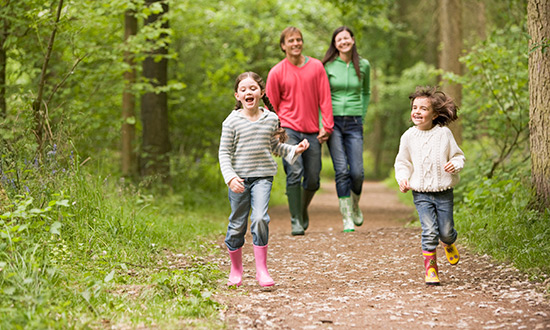 boy hanging upside down from a tree limb