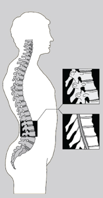631 Boston Post Road, Sudbury, MA facilities
